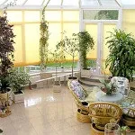 Зимовий сад в будинку (42 фото) особливості інтер'єру, як доглядати взимку, фото і відео (зимовий) Зимовий сад в будинку (42 фото) особливості інтер'єру, як доглядати взимку, фото і відео