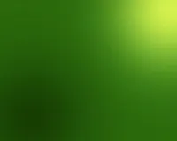 Значення зеленого кольору, магія кольору (значення) Значення зеленого кольору, магія кольору