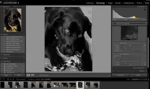 Знайомимося з інструментом sharpening в програмі adobe lightroom