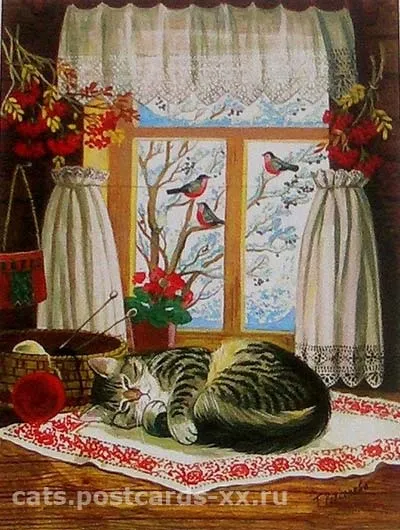 зимові коти