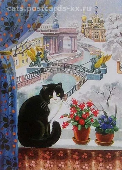 зимові коти