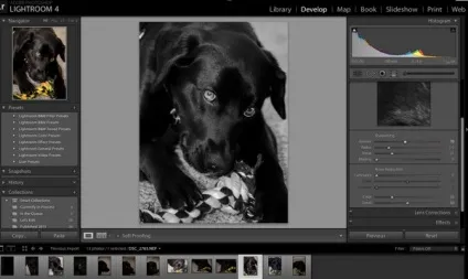Знайомимося з інструментом sharpening в програмі adobe lightroom