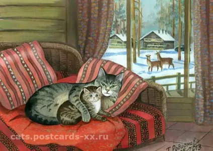 зимові коти