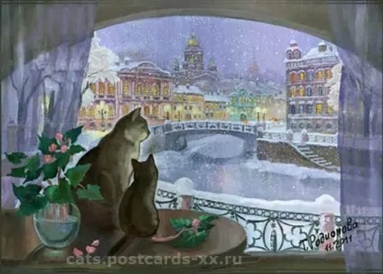 зимові коти