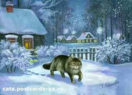 зимові коти