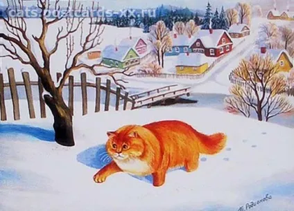 зимові коти