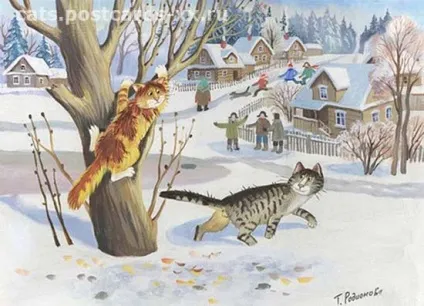 зимові коти