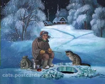 зимові коти