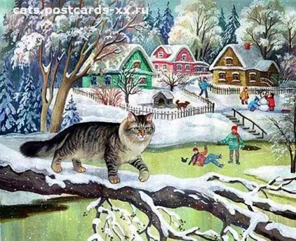 зимові коти