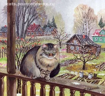 зимові коти