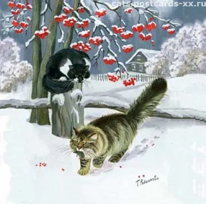 зимові коти