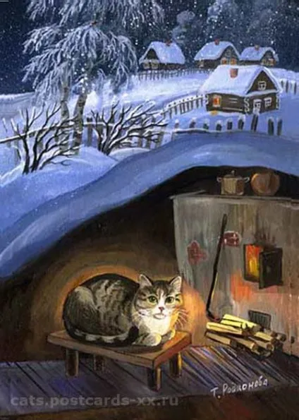 зимові коти