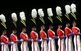 18 Гібридів тварин, в існування яких складно повірити (гібридів) 18 Гібридів тварин, в існування яких складно повірити