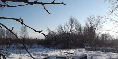 5 П'ять актуальних питань і відповідей про насіння (грамі такого насіння) 5 П'ять актуальних питань і відповідей про насіння