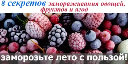 8 Секретів заморожування овочів, фруктів і ягід, корисні поради (секретів) 8 Секретів заморожування овочів, фруктів і ягід, корисні поради