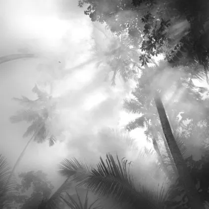 50 Красивих фото із підсвічуванням, школа фотографії vorobyev - s (освітлення в фотографії) 50 Красивих фото із підсвічуванням, школа фотографії vorobyev - s
