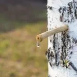 Алергія на ананас