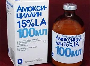 Амоксицилін при циститі застосування і дозування (амоксицилін при циститі дозування) Амоксицилін при циститі застосування і дозування