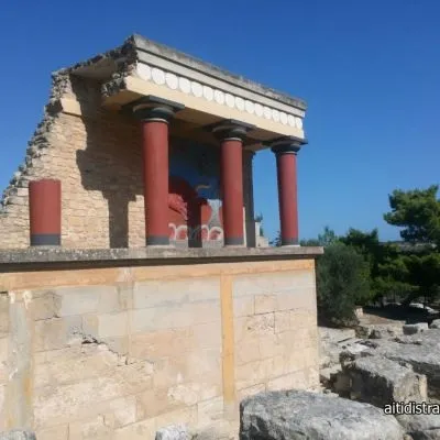 Aitidis travel