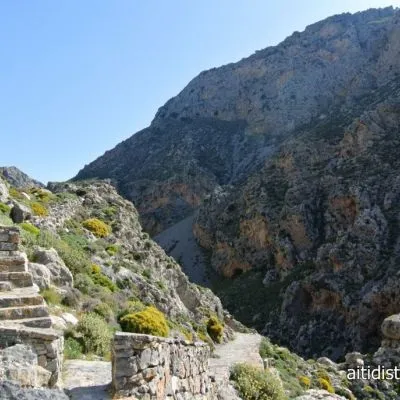 Aitidis travel