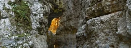 Aitidis travel