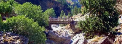 Aitidis travel