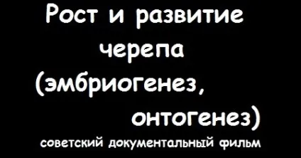 Аномальний ріст голови дитини мікроцефалія, макроцефалія, асиметрія черепа