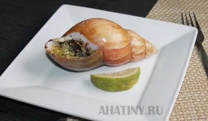 Африканський равлик ахатина (ахатина) Африканський равлик ахатина