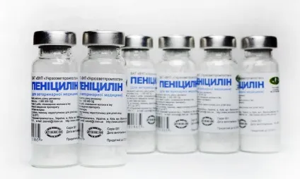 Ангіна у грудничка і новонародженого причини, симптоми, лікування (причини) Ангіна у грудничка і новонародженого причини, симптоми, лікування