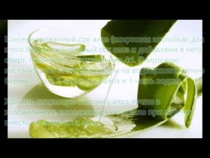 Алое з медом від кашлю рецепти і як приготувати ліки (рецепти) Алое з медом від кашлю рецепти і як приготувати ліки