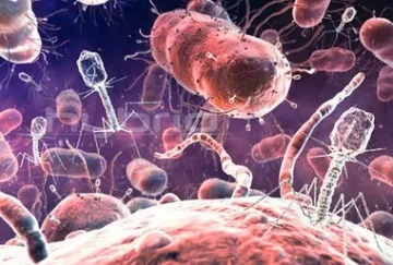 Антибіотики при запаленні ясен - огляд препаратів, рекомендованих стоматологами, для лікування (антибіотик при запаленні ясен і зубів) Антибіотики при запаленні ясен - огляд препаратів, рекомендованих стоматологами, для лікування