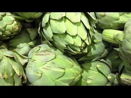 Артишок ліки для печінки в таблетках (ліки) Артишок ліки для печінки в таблетках