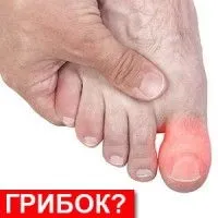 Підживлення настоєм з кульбаб, це дача! (Настоєм) Підживлення настоєм з кульбаб, це дача!