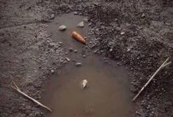 Погода, погодою, а російська традиція залишається (народні прикмети на грудень) Погода, погодою, а російська традиція залишається