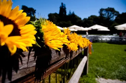 Соняшники на весіллі коли жовтий колір приносить радість! Наречена-нн весільний портал нижнього (жовтий) Соняшники на весіллі коли жовтий колір приносить радість! Наречена-нн весільний портал нижнього