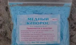 Хвороби смородини і боротьба з ними - догляд, заходи і фото шкідників (смородини) Хвороби смородини і боротьба з ними - догляд, заходи і фото шкідників