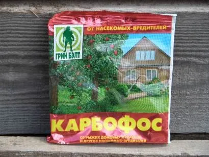 Хвороби і шкідники полуниці - лікування і боротьба з ними (боротьба з шкідниками і хворобами рослин) Хвороби і шкідники полуниці - лікування і боротьба з ними