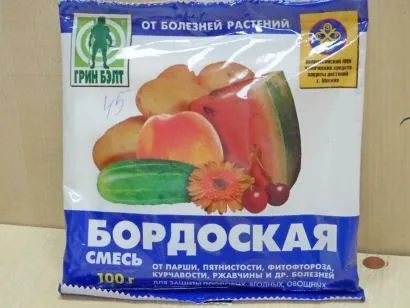 Хвороби і шкідники полуниці - лікування і боротьба з ними (хвороби) Хвороби і шкідники полуниці - лікування і боротьба з ними