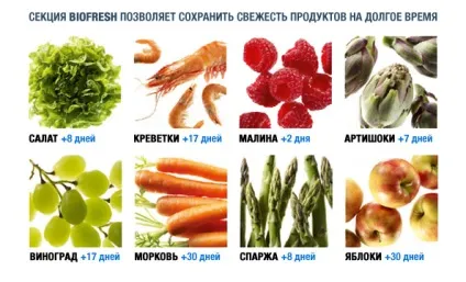 Biofresh - ваш помічник у збереженні свіжості продуктів (свіжості) Biofresh - ваш помічник у збереженні свіжості продуктів