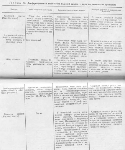 Хвороби вимені гострі і приховані мастити (мастити) Хвороби вимені гострі і приховані мастити