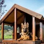 Будка для собак своїми руками (55 фото) незвичайні будиночки, рублений з дерева, свій навіс, як (своїми) Будка для собак своїми руками (55 фото) незвичайні будиночки, рублений з дерева, свій навіс, як