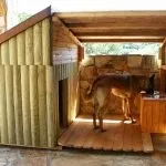 Будка для собак своїми руками (55 фото) незвичайні будиночки, рублений з дерева, свій навіс, як (собак) Будка для собак своїми руками (55 фото) незвичайні будиночки, рублений з дерева, свій навіс, як