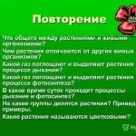 Брондірованіе волосся, техніка брондірованія, фарбування - 37 фото, відео інструкція, техніка, я, ти