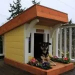 Будка для собак своїми руками (55 фото) незвичайні будиночки, рублений з дерева, свій навіс, як (собак) Будка для собак своїми руками (55 фото) незвичайні будиночки, рублений з дерева, свій навіс, як