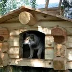 Будка для собак своїми руками (55 фото) незвичайні будиночки, рублений з дерева, свій навіс, як (своїми) Будка для собак своїми руками (55 фото) незвичайні будиночки, рублений з дерева, свій навіс, як