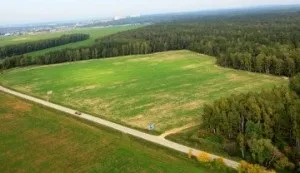 Цільове призначення земельної ділянки (цільове) Цільове призначення земельної ділянки
