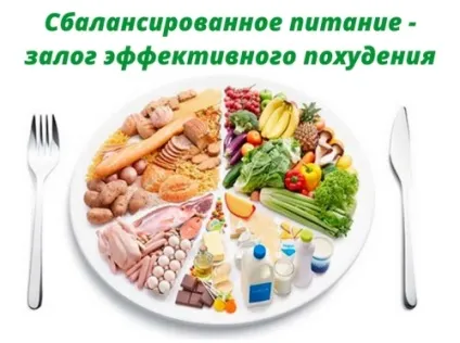 БЖУ, як складова ефективного схуднення - схуднення з розрахунком (схуднення) БЖУ, як складова ефективного схуднення - схуднення з розрахунком