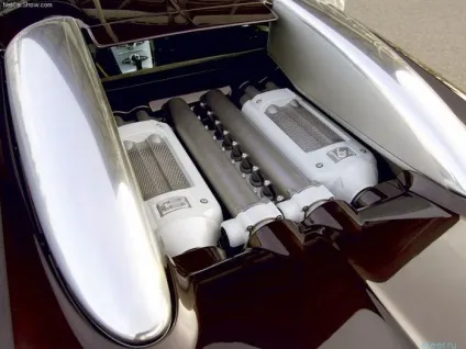 Bugatti veyron 16