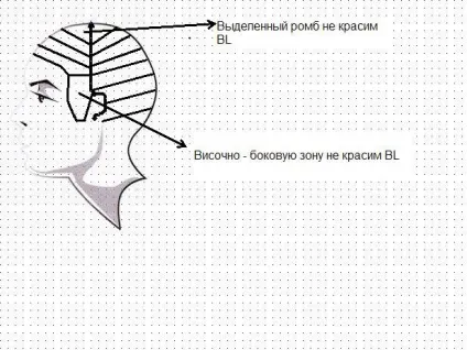 Брондірованіе волосся, техніка брондірованія, фарбування - 37 фото, відео інструкція, техніка, я, ти