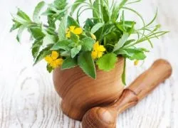 Чистотіл в косметології в домашніх умовах (чистотіл) Чистотіл в косметології в домашніх умовах